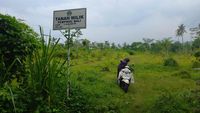 Menengok Lahan yang Jadi Calon Lokasi Bandara Bali Utara