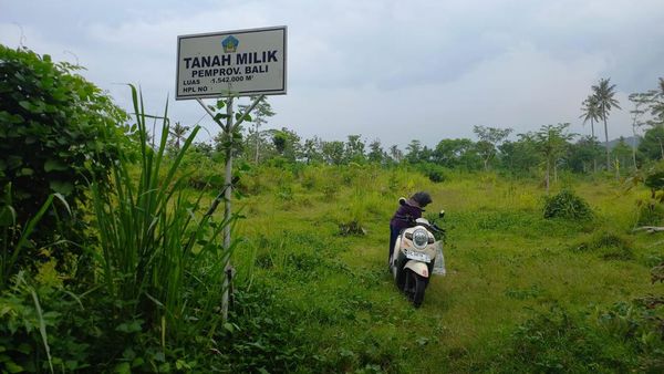 Menengok Lahan yang Jadi Calon Lokasi Bandara Bali Utara