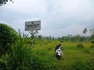 Menengok Lahan yang Jadi Calon Lokasi Bandara Bali Utara