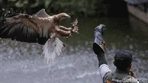 Melihat Ragam Koleksi Burung di Jakarta Bird Land Ancol