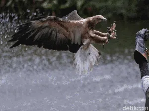 Promo Menarik di Ancol Lunar Festival 2023