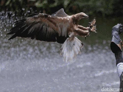 Promo Menarik di Ancol Lunar Festival 2023