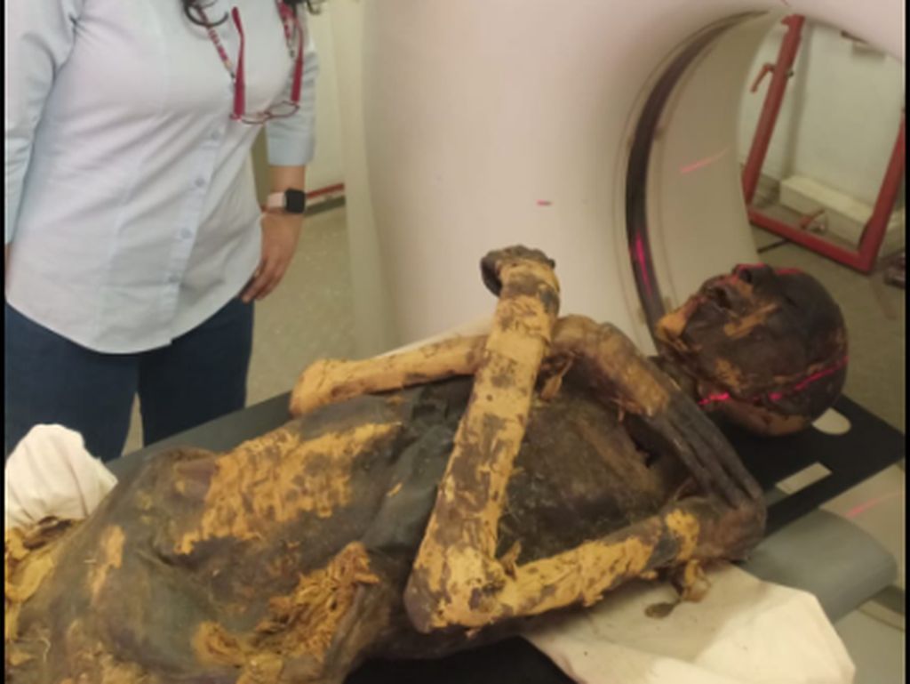 Senjata Paleoradiolog Mesir Sang Pemindai Mumi Para Firaun: CT Scan Senjata Paleoradiolog Mesir Sang Pemindai Mumi Para Firaun: CT Scan