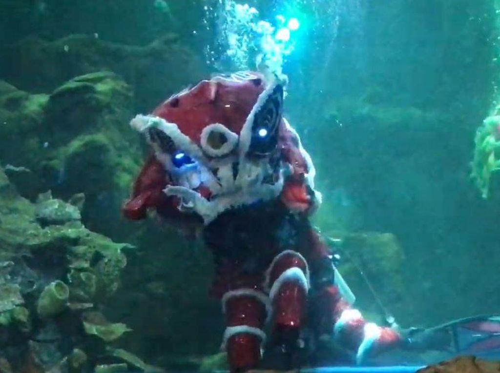 Sambut Imlek, Sea World Ancol Gelar Pertunjukan Barongsai Underwater