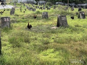 Pesona Bukit Kelam, Batu Raksasa dengan Keindahan Memukau Pesona Bukit Kelam, Batu Raksasa dengan Keindahan Memukau