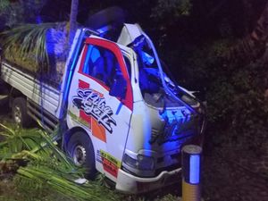 Hindari Mobil, Pikap Malah Tabrak Pohon di Jalan Denpasar-Gilimanuk