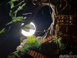 Keindahan Mini Moon Garden Lewat Seni Terarium Karya Warga Purwakarta