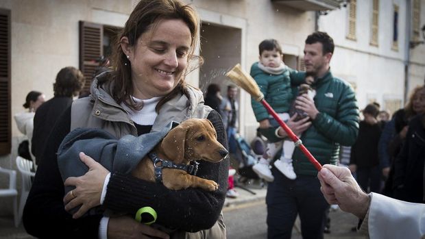 A priest blesses a cat during the 'Beneides' (Benedictions in Majorcan language) traditional ceremony of blessing animals that marks the day of San Anton (Saint Anthony), the animals' patron saint, in Muro, on the Spanish Balearic island of Majorca, on January 17, 2023. (Photo by JAIME REINA / AFP) (Photo by JAIME REINA/AFP via Getty Images)