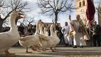 Tradisi Unik Pemberkatan Hewan di Gereja Spanyol