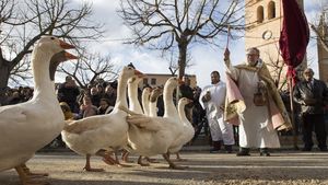 Tradisi Unik Pemberkatan Hewan di Gereja Spanyol