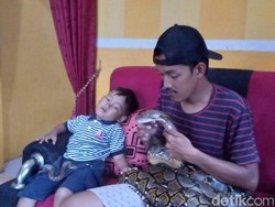 Kisah Pasutri Kuningan Serumah dengan Ular Piton