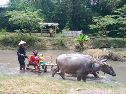 Iriana Jokowi dan Teman SMA Kunjungi Kampung Dolanan Klaten, Ini Wahananya