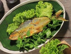 5 Fakta Ikan Bandeng yang Jadi Suguhan Istimewa Saat Imlek 5 Fakta Ikan Bandeng yang Jadi Suguhan Istimewa Saat Imlek