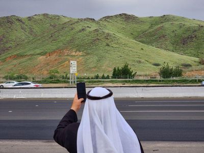 Penampakan Terbaru Gurun Makkah Arab Saudi yang Menghijau