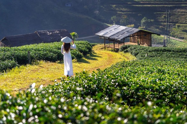 Ilustrasi ramah lingkungan/ Foto: Freepik.com/tawatchai07 Ilustrasi ramah lingkungan/ Foto: Freepik.com/tawatchai07