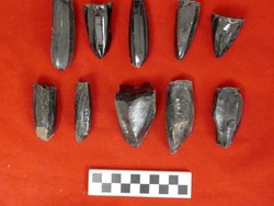 Ilmuwan Duga Suku Maya di Tempat Ini Juga Pergi ke Supermarket