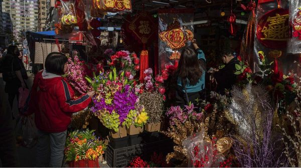 Semarak Pasar Bunga di Hong Kong Sambut Perayaan Imlek