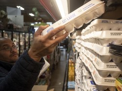 Warga AS Pusing Harga Telur Naik Gila-gilaan, Minta Biang Keroknya Diusut!