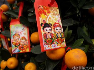 Berburu Jeruk Jelang Imlek di Pasar Glodok Berburu Jeruk Jelang Imlek di Pasar Glodok