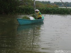 Hampir Sebulan, Banjir Masih Rendam Sejumlah Desa di Pati