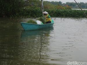 Hampir Sebulan, Banjir Masih Rendam Sejumlah Desa di Pati Hampir Sebulan, Banjir Masih Rendam Sejumlah Desa di Pati