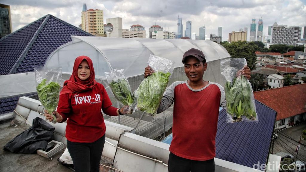 Melihat Smart Farming di Atap Masjid Asy-syifa RSCM Melihat Smart Farming di Atap Masjid Asy-syifa RSCM