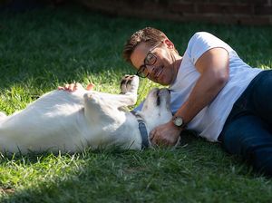 Film Dog Gone Tayang di Netflix, Simak Fakta Menariknya!