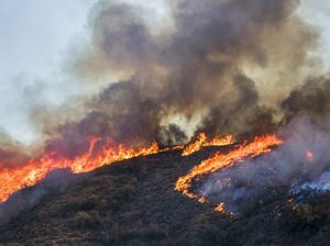 Kebakaran Hebat di LA, Rumah Artis Terancam hingga Pemutaran Film Batal