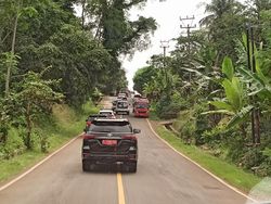 Mencoba Jalur Pansela: Jalan Berkelok Membelah Hutan
