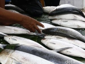 Harga Sembako Jogja Hari Ini 22 April 2025: Ikan Bandeng Stabil Rp 41 Ribuan/Kg