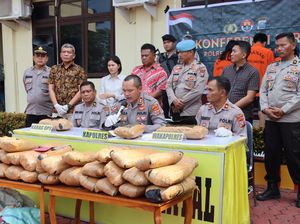 Bawa 47 Kg Ganja, 3 Pria Asal Sumbar Ditangkap di Madina