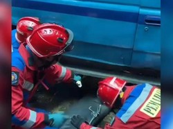 Sanca Kagetkan Penumpang Angkot di Jaktim, Sopir Minta Damkar Evakuasi