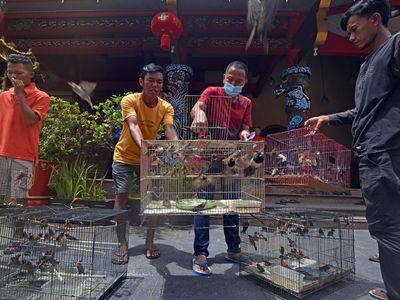 Melihat Tradisi Melepas Burung Jelang Imlek di Banten