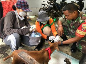 Vaksinasi Rabies Digencarkan, Sasar Objek Wisata di Jembrana