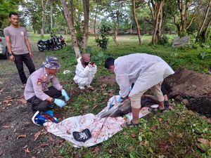 Lumba-lumba Ditemukan Mati Terdampar di Pesisir Pantai Pandeglang