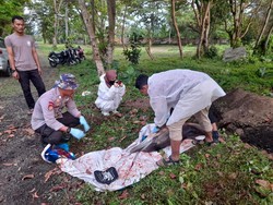 Lumba-lumba Ditemukan Mati Terdampar di Pesisir Pantai Pandeglang