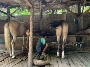 Mengintip Kehidupan Kampung Delman di Ibu Kota, Dulunya Tempat Jin Buang Anak Mengintip Kehidupan Kampung Delman di Ibu Kota, Dulunya Tempat Jin Buang Anak