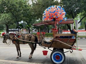 Jadi Lebih Aman! Naik Delman di Monas Bakal Dijamin Asuransi