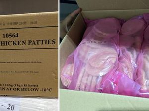 Jual Daging Burger Ayam Sembarangan, Perusahaan Ini Didenda Rp 456 Juta Jual Daging Burger Ayam Sembarangan, Perusahaan Ini Didenda Rp 456 Juta