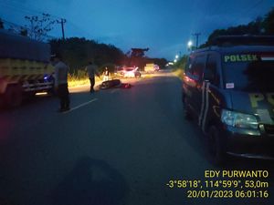 Pemotor di Kalsel Tewas Tabrak Kerbau yang Sedang Menyeberang Jalan Pemotor di Kalsel Tewas Tabrak Kerbau yang Sedang Menyeberang Jalan