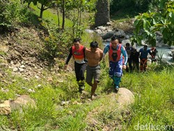 Kawanan Pencuri Ternak di Probolinggo Tertangkap Saat Tuntun 2 Sapi Curian