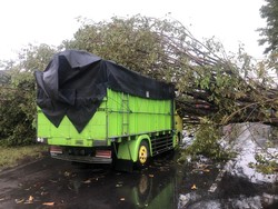 2 Orang Tewas Tertimpa Pohon saat Angin Kencang Terjang Sukoharjo