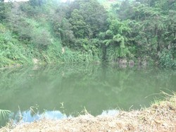 Viral Foto Mayat Bergelimpangan di Dieng, Bukti Seram Petaka Sinila