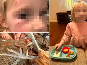 Kesal Anaknya Dipatuk, Wanita Ini Masak dan Makan Ayam Peliharaannya Kesal Anaknya Dipatuk, Wanita Ini Masak dan Makan Ayam Peliharaannya