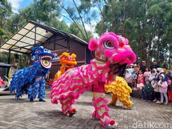 Keseruan Atraksi Barongsai di Kawasan Wisata Lembang