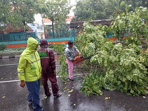 Surabaya Diguyur Hujan Lebat Disertai Angin Kencang, 2 Pohon Tumbang