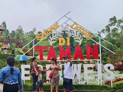 Kunjungan ke Taman Edelweis Karangasem Merosot Imbas Cuaca Ekstrem