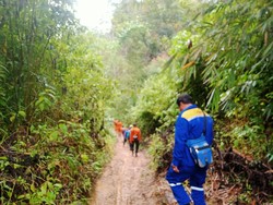 Hampir Sepekan, Kakek Hilang di Kebun Kayu Manis Jambi Belum Ditemukan