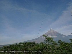Letusan Erupsi Gunung Semeru 800 Meter, PVMBG Imbau Waspada Batu Pijar