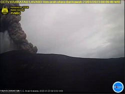Gunung Anak Krakatau Erupsi 7 Kali Pagi Ini